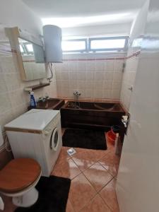 Kúpeľňa v ubytovaní Apartment Budin 2, Rijeka center