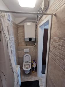 A bathroom at Apartment Budin 2, Rijeka center
