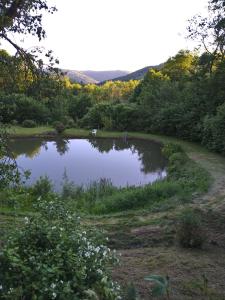 a pond in the middle of a field with trees at Gite Spa Détente Nature L'Estompe in Fresse