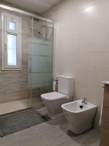 a bathroom with a toilet and a shower and a sink at Apartamento Ceclavín in Cáceres