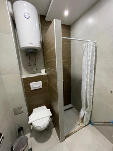 La petite salle de bains est pourvue d'une douche et de toilettes. dans l'établissement Apartman Pahuljica, à Kopaonik