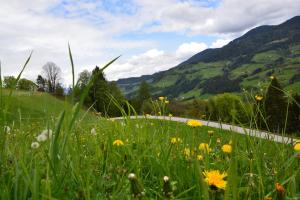 Fotografia z galérie ubytovania Niederstallnhof v destinácii Sankt Johann im Pongau