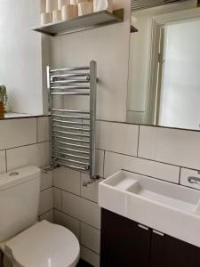 a bathroom with a toilet and a sink and a mirror at Grand & Graceful One Bed Flat in Clifton Village in Bristol