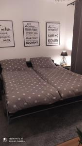 1 cama en un dormitorio con carteles en la pared en Apartament dla Dwojga, en Dziwnówek