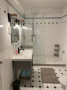 ein weißes Badezimmer mit Waschbecken und Dusche in der Unterkunft Grüne Oase und trotzdem zentral in Hameln