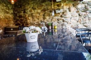 Fotografie z fotogalerie ubytování Chalupa Těšínov v Protivíně