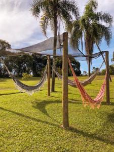 a hammock in a park with two palm trees at Pousada Sitio da Terra e Arte in São Roque