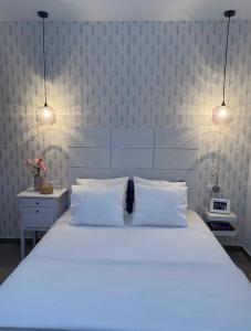 a bedroom with a large white bed with two pillows at Casa el Majorero in Puerto del Rosario