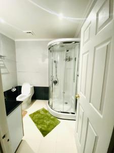 a bathroom with a shower and a toilet at Le Reve Valley - Canadian cottage 3 in Bhīm Tāl