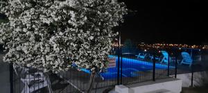 a tree with white flowers in front of a fence at Aiken Cabañas in Villa Cura Brochero