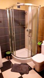 a bathroom with a shower and a toilet at Smart Rooms Poznan in Poznań