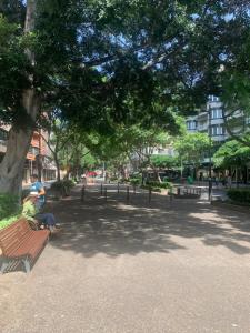 dos personas sentadas en un banco del parque bajo un árbol en LAS RAMBLAS, en Santa Cruz de Tenerife