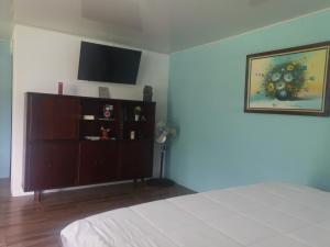 a bedroom with a bed and a tv on the wall at Dreamcatcher house in Sarchí
