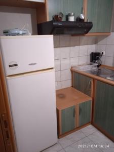 een keuken met een witte koelkast en een wastafel bij Apartment ARION 2 in Larisa