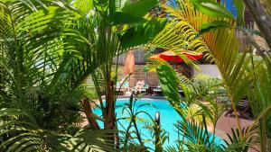 a pool with palm trees and a person in the background at La Villa du Bonheur in Siem Reap