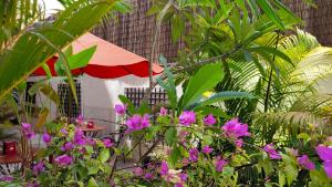 - un jardin avec des fleurs roses et un parasol dans l'établissement La Villa du Bonheur, à Siem Reap