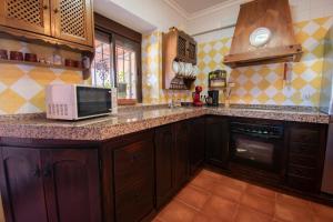 a kitchen with a counter top with a microwave at VILLA ELISABETH Piscina y Terraza con Aire Acondicionado in Arriate