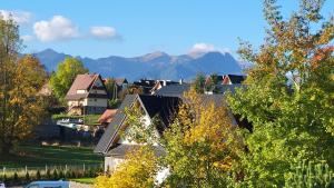 a village with houses and mountains in the background at Villa Teddy Zakopane Murzasichle- Entire house to yourself in a quiet neighborhood in Murzasichle