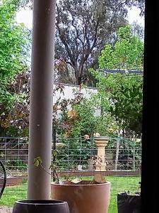 a view of a garden from a window with a pillar at Barklysuites Apartments in Rutherglen