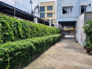 a row of green bushes next to a building at Dinsomon Hotel in Bangkok