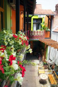 Zahrada ubytování Guest Accommodation Etno Konak Tašana