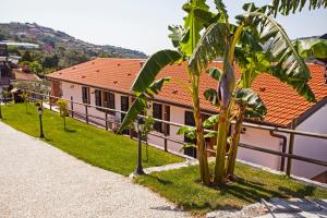 a house with a palm tree in front of it at Agriturismo Benza in Imperia