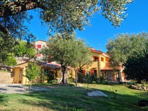 a house with a tree in front of it at Casa tra mare e oliveti in Caprioli
