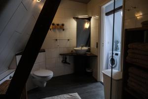 een badkamer met toilet en wastafel bij De Soeten Inval in Middelburg +37 foto's