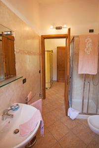 y baño con ducha, lavabo y aseo. en Agriturismo Benza, en Imperia