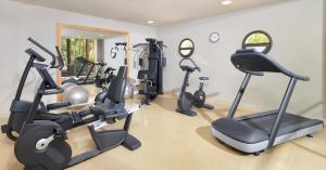 a gym with treadmills and ellipticals in a room at Hotel Las Madrigueras Golf Resort & Spa - Adults Only in Playa de las Americas