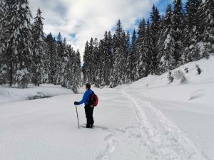 Hotel Garni Sottobosco v zimě