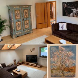 a living room with a couch and a tv at Alpen Appartements Hochmuth in Mayrhofen