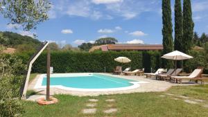 a swimming pool in a yard with chairs and umbrellas at Agriturismo San Leone in Volterra