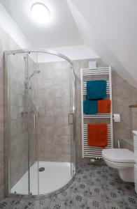 La salle de bains est pourvue d'une douche, de toilettes et de serviettes. dans l'établissement Les Tilleuls, à Wissembourg