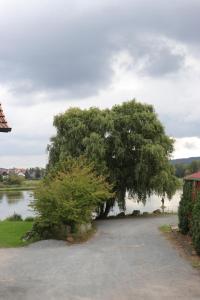 Příroda nedaleko bed and breakfast