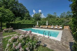 a swimming pool in a yard with chairs and trees at Villa Iole in Bucine