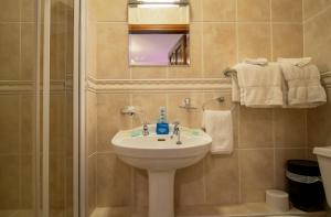 un bagno con lavandino e doccia di Bunratty Meadows Bed & Breakfast a Bunratty