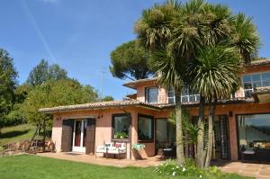 a house with a palm tree in front of it at VillaOriental Valmontone in Genazzano
