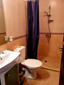 La salle de bains est pourvue de toilettes, d'un lavabo et d'une douche. dans l'établissement Family Hotel Bela, à Tryavna