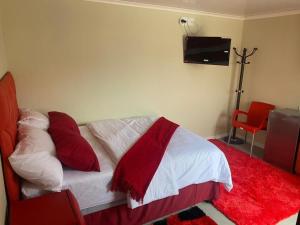 Un dormitorio con una cama con almohadas rojas y un televisor. en SABATH LODGE, en Ciudad del Cabo