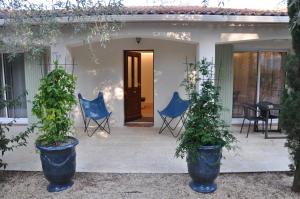 deux plantes en pot devant une maison dans l'établissement Chambres d'hôtes sous l'olivier, à Montpellier