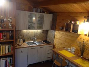 a small kitchen with white cabinets and a sink at Lookout Resort tiny houses in Rovte