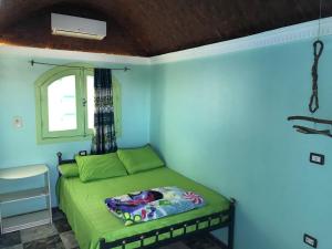 a bedroom with a green bed and a window at Nubian Paradise in Aswan