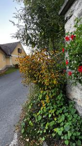 Jardín al aire libre en Winzerhäuschen Kern