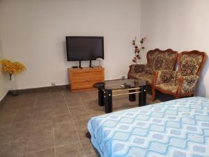 TV a/nebo společenská místnost v ubytování Apartman Starý Liskovec