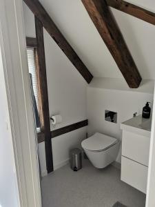 a bathroom with a white toilet and a sink at Løðupakkhúsið - Historical Warehouse - Top Floor in Sørvágur