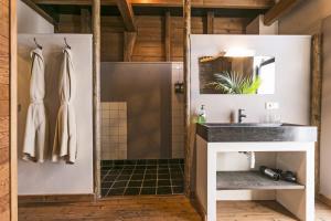 a bathroom with a shower and a sink at De Zeeuwsche Hoeve in Kerkwerve