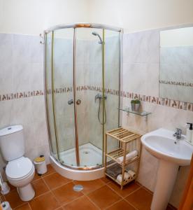 a bathroom with a shower and a toilet and a sink at O DRAGOEIRO da Madalena! in Porto Santo +41 photos