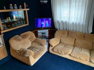 ブレウイル・チェルヴィナイアにあるAppartamento BREUIL CERVINIAのソファ2つとテレビのあるリビングルーム