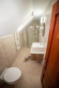 La salle de bains est pourvue de toilettes et d'un lavabo. dans l'établissement CASA BINU, à Arieşeni
